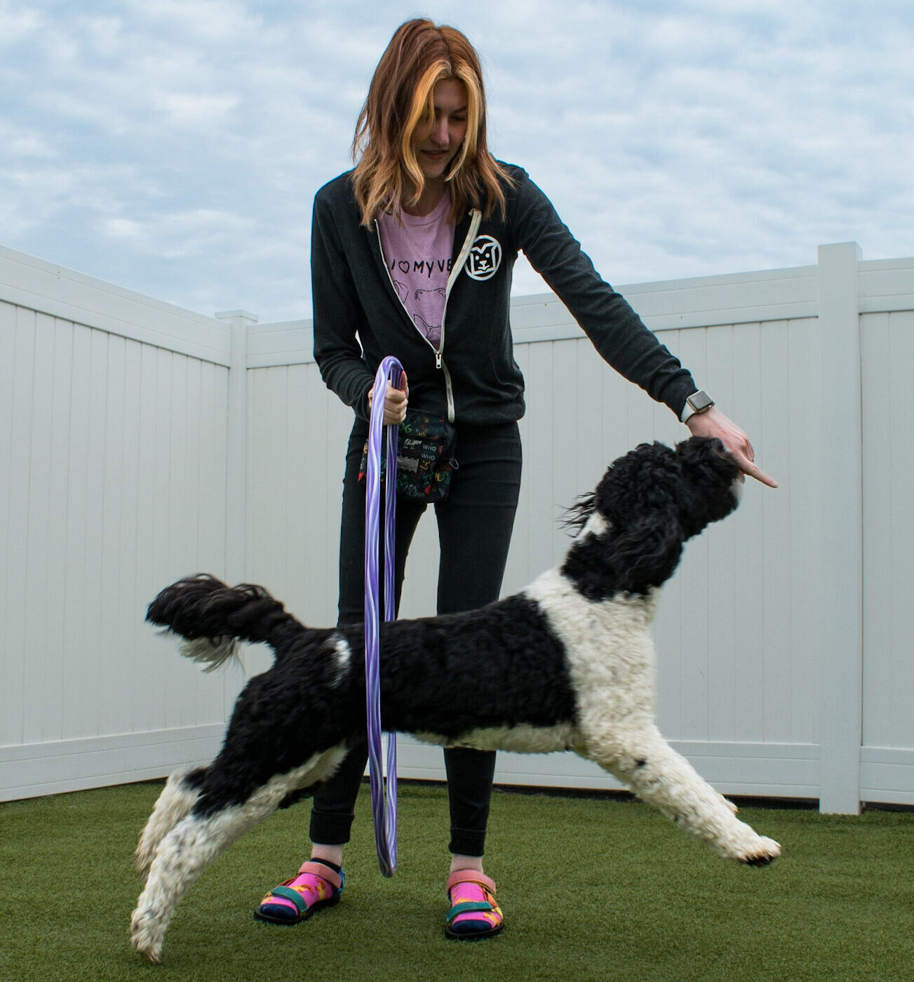 Trick Training at Dog Days in St. Paul dog-and-trainer-learning-tricks-dog-days-st-paul