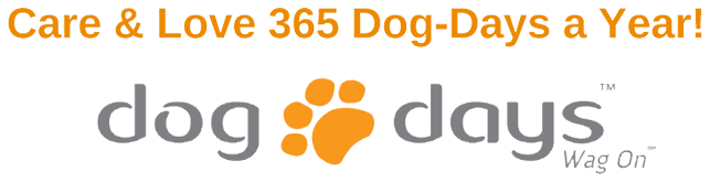 St Paul Dog Daycare & Boarding | Dog Days (651) 642-WOOF