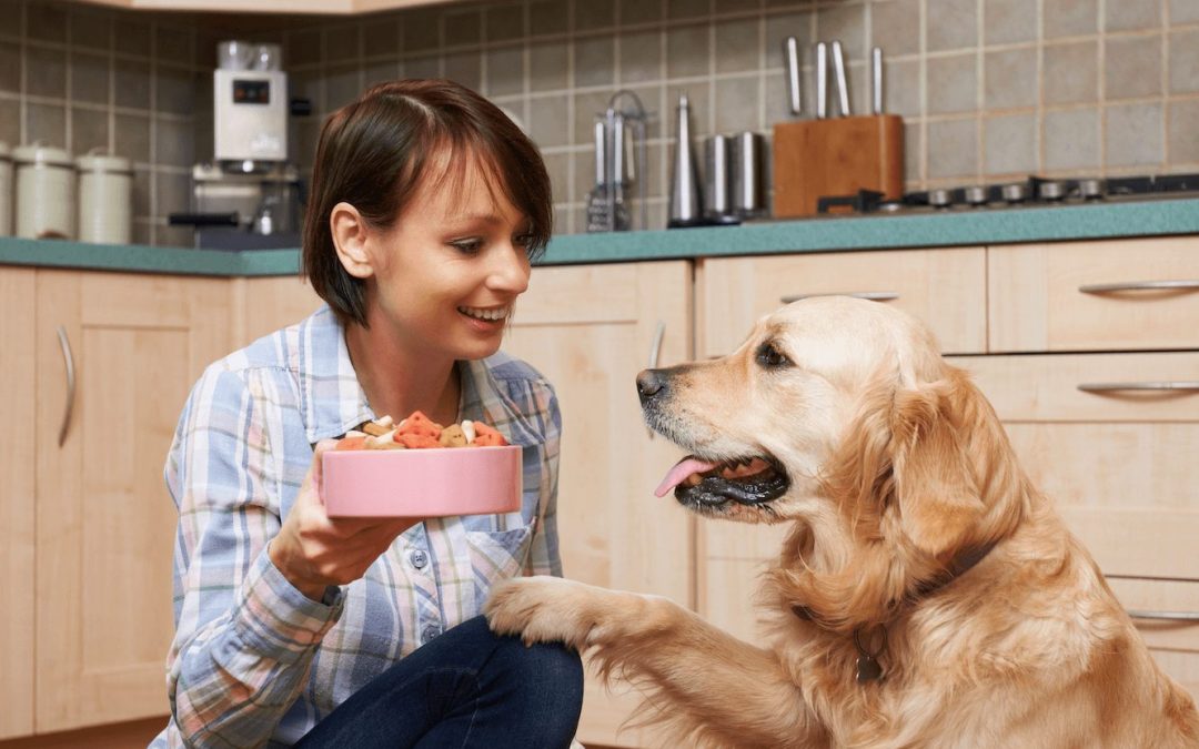 Your Healthy Dog: Toxic Foods & Bone Broth